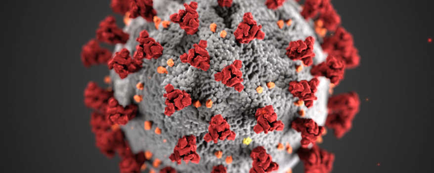 Closeup of the novel coronavirus